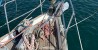 Beneteau_50_4.jpeg
